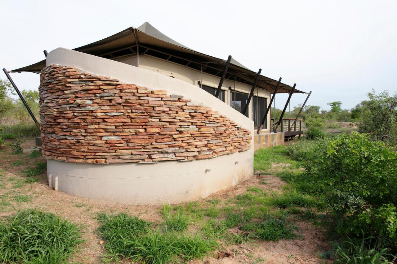 Thabamati Luxury Tented Camp Timbavati Game Reserve Esterno foto