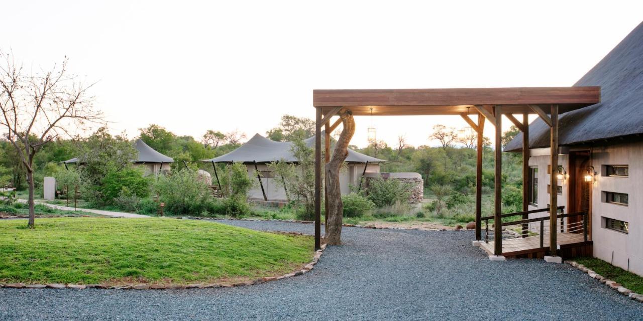 Thabamati Luxury Tented Camp Timbavati Game Reserve Esterno foto